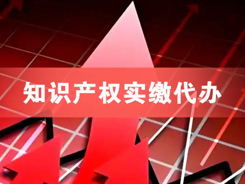 涟源知识产权实缴资本代办